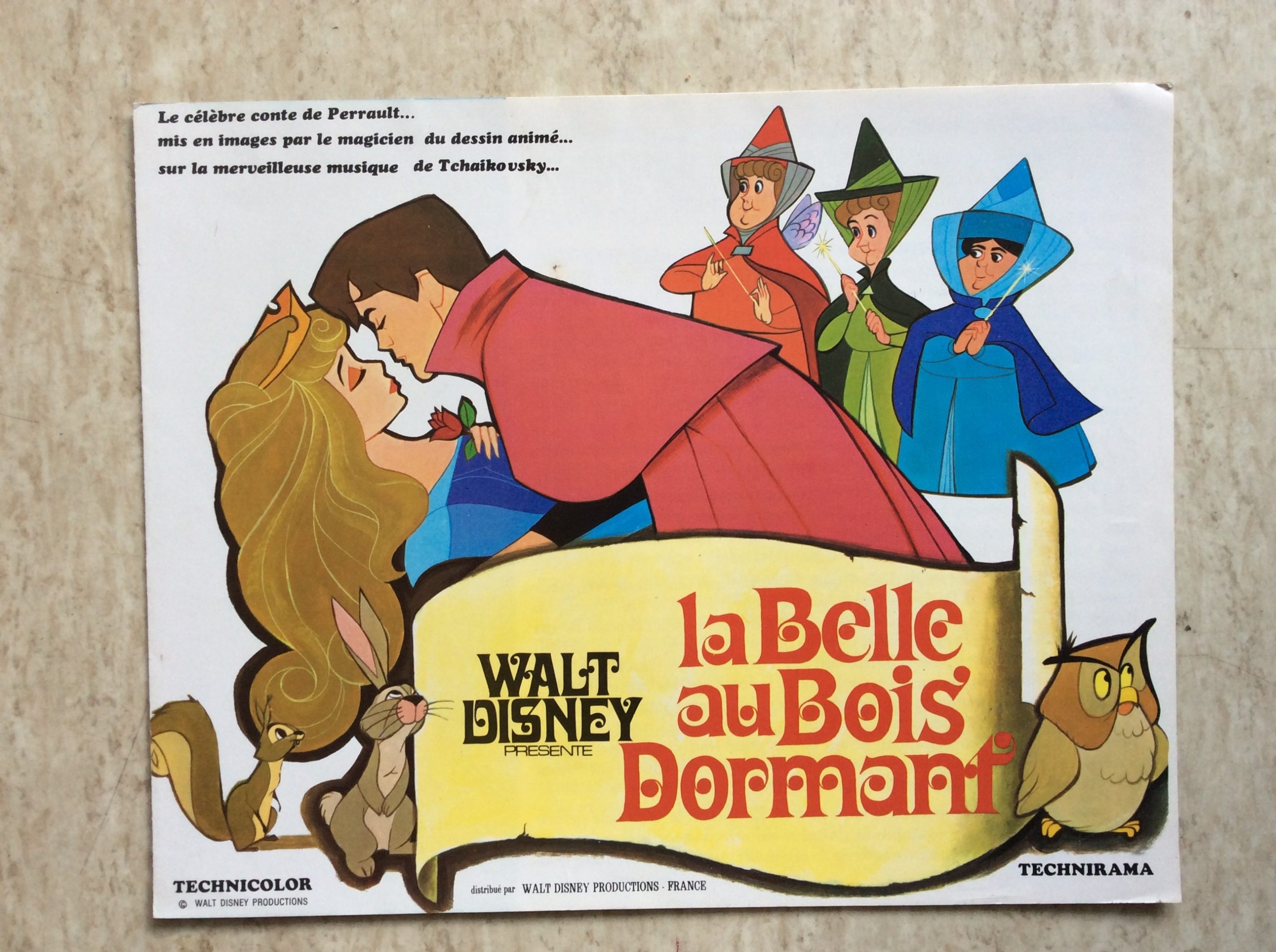La Belle Au Bois Dormantgrimm Page De Garde
